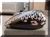 CHECKEREDvc-006s.jpg (36990 bytes)