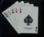 Dsc00085r.JPG (26472 bytes)